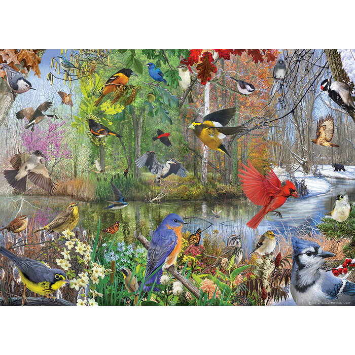 Cobble Hill Puzzles 1000 pcs - Birds of the Season
