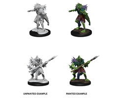 Wizkids/NECA LLC Nolzur's Marvelous Miniatures: Sahuagin