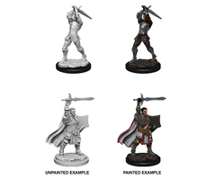Wizkids/NECA LLC Nolzur's Marvelous Miniatures: Human Paladin Male (2020)