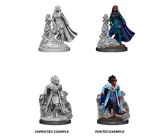 Wizkids/NECA LLC Nolzur's Marvelous Miniatures: Tiefling Sorcerer Female (2020)