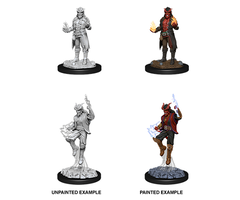 Wizkids/NECA LLC Nolzur's Marvelous Miniatures: Tiefling Sorcerer Male