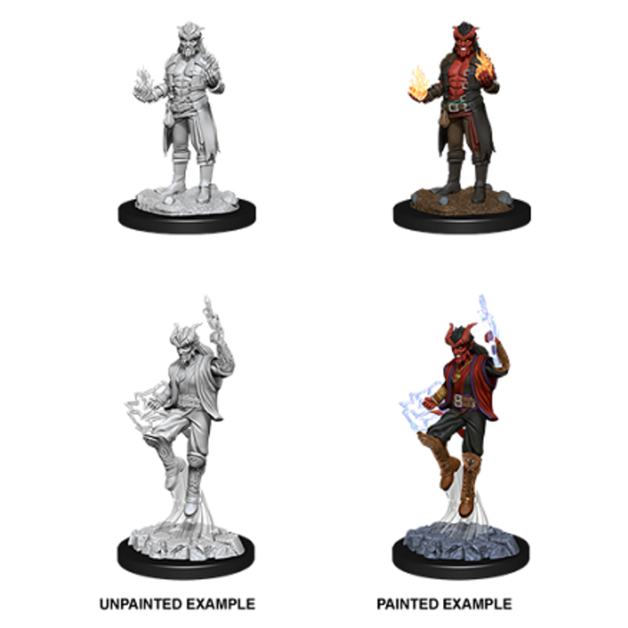 Wizkids/NECA LLC Nolzur's Marvelous Miniatures: Tiefling Sorcerer Male