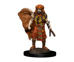 Wizkids/NECA LLC D&D Icons of the Realms: Human Druid Male Premium Painted Miniature