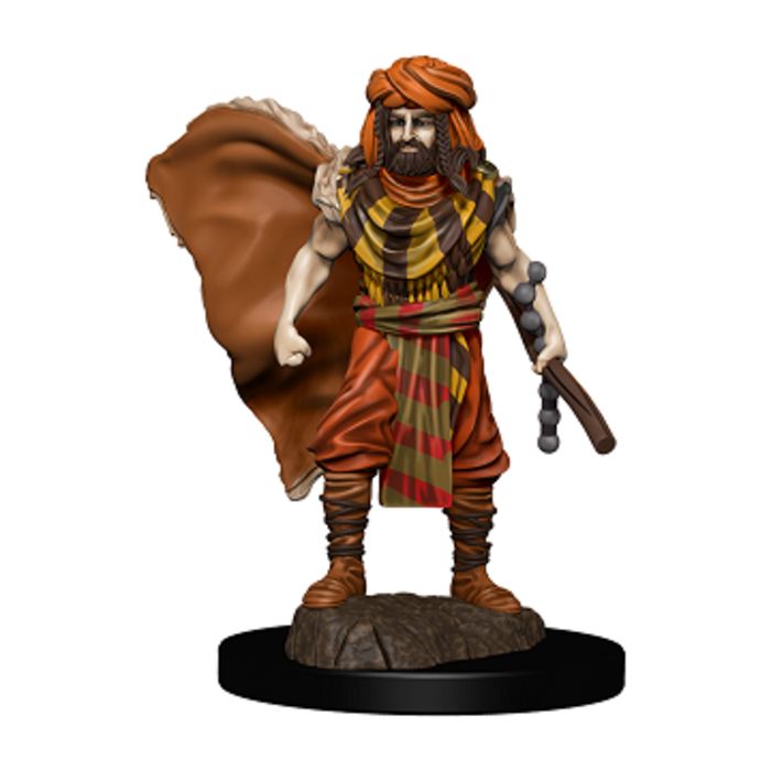 Wizkids/NECA LLC D&D Icons of the Realms: Human Druid Male Premium Painted Miniature