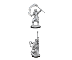 Wizkids/NECA LLC Nolzur's Marvelous Miniatures: Firbolg Druid Female