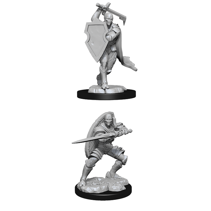 Wizkids/NECA LLC Nolzur's Marvelous Miniatures: Warforged Fighter