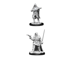 Wizkids/NECA LLC Pathfinder Deep Cuts Miniatures: Human Rogue Male