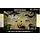 D&D Icons of the Realms: Spell Effects - Wild Shape & Polymorph Premium Painted Miniature Set 1