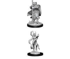 Wizkids/NECA LLC Nolzur's Marvelous Miniatures: Hobgoblin Devastator & Iron Shadow