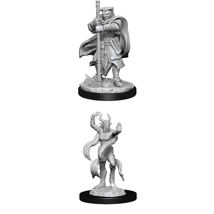 Wizkids/NECA LLC Nolzur's Marvelous Miniatures: Hobgoblin Devastator & Iron Shadow