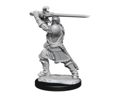 Wizkids/NECA LLC Nolzur's Marvelous Miniatures: Human Paladin Male (2021)