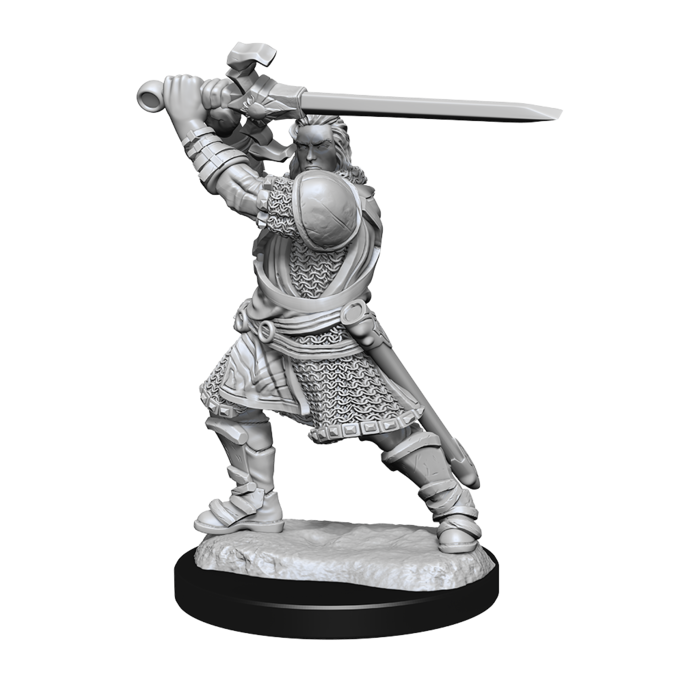 Wizkids/NECA LLC Nolzur's Marvelous Miniatures: Human Paladin Male (2021)