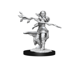 Wizkids/NECA LLC Nolzur's Marvelous Miniatures: Human Druid Female (2021)