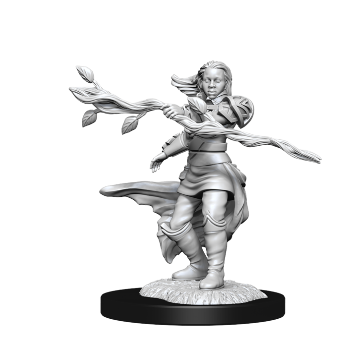 Wizkids/NECA LLC Nolzur's Marvelous Miniatures: Human Druid Female