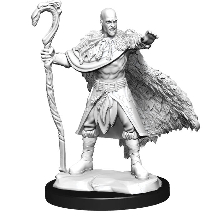 Wizkids/NECA LLC Nolzur's Marvelous Miniatures: Human Druid Male