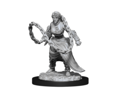 Wizkids/NECA LLC Nolzur's Marvelous Miniatures: Human Monk Female (2021)