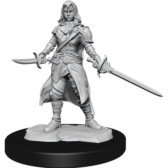 Wizkids/NECA LLC Nolzur's Marvelous Miniatures: Half-Elf Rogue Female (2021)
