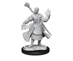 Wizkids/NECA LLC Nolzur's Marvelous Miniatures: Half-Elf Wizard Male
