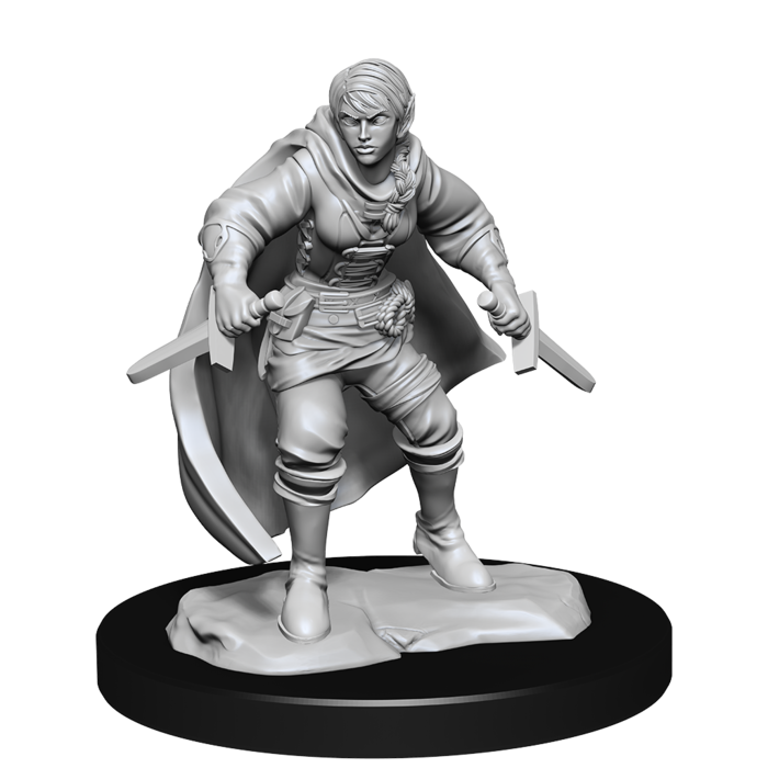 Wizkids/NECA LLC Nolzur's Marvelous Miniatures: Half-Elf Rogue Female (2021)