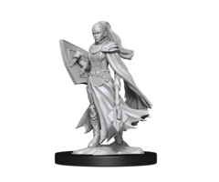 Wizkids/NECA LLC Nolzur's Marvelous Miniatures: Kalashtar Cleric Female