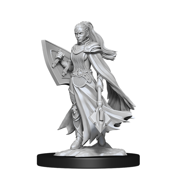 Wizkids/NECA LLC Nolzur's Marvelous Miniatures: Kalashtar Cleric Female