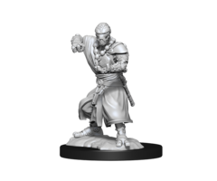 Wizkids/NECA LLC Nolzur's Marvelous Miniatures: Warforged Monk