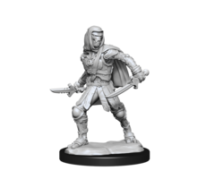 Wizkids/NECA LLC Nolzur's Marvelous Miniatures: Warforged Rogue