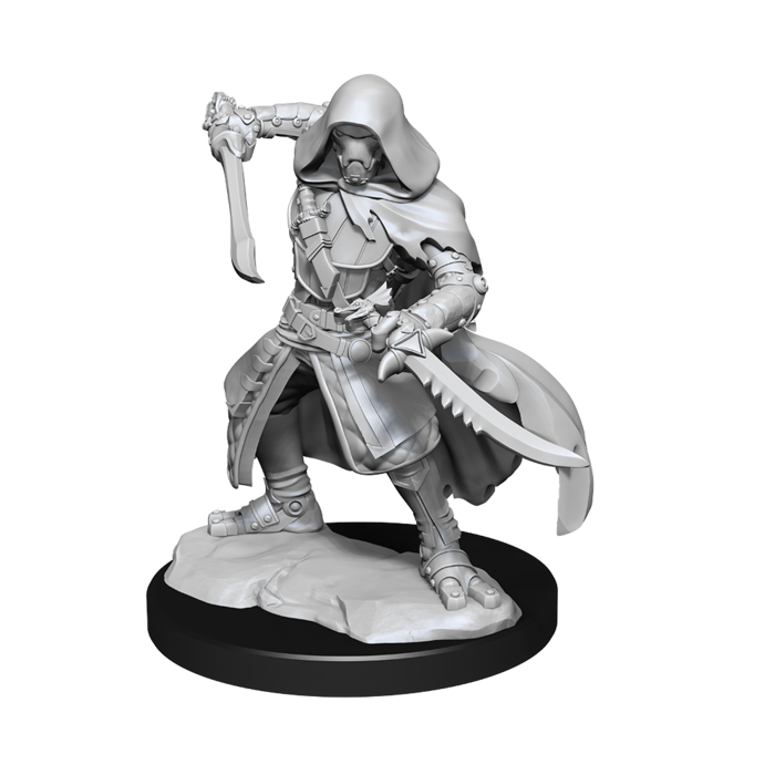 Wizkids/NECA LLC Nolzur's Marvelous Miniatures: Warforged Rogue