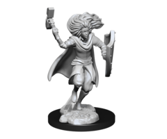 Wizkids/NECA LLC Nolzur's Marvelous Miniatures: Changeling Cleric