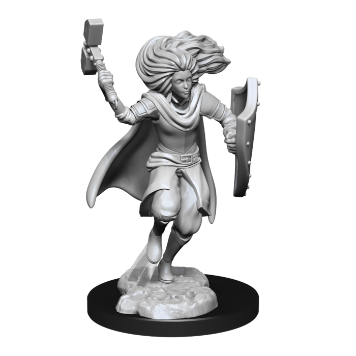 Wizkids/NECA LLC Nolzur's Marvelous Miniatures: Changeling Cleric