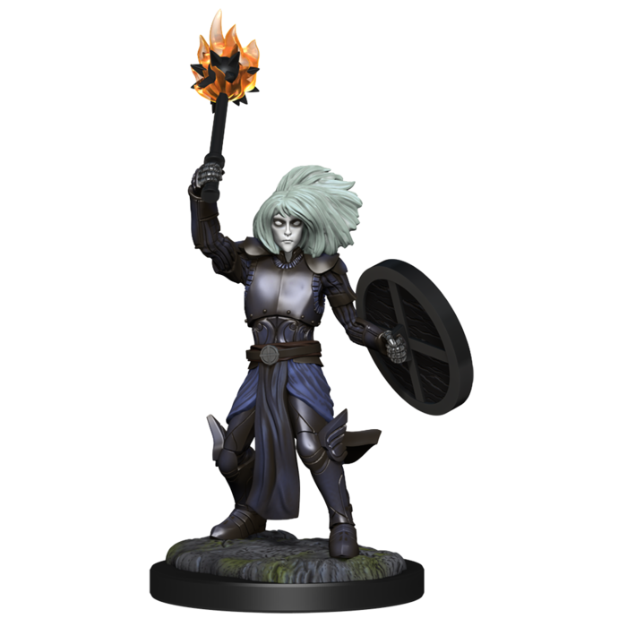 Wizkids/NECA LLC Nolzur's Marvelous Miniatures: Changeling Cleric