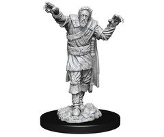 Wizkids/NECA LLC Nolzur's Marvelous Miniatures: Scarecrow & Stone Cursed