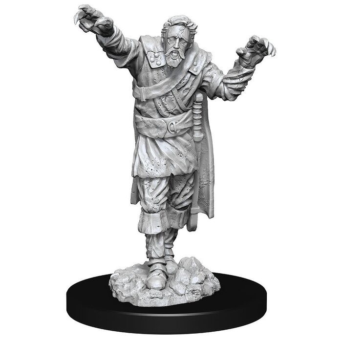 Wizkids/NECA LLC Nolzur's Marvelous Miniatures: Scarecrow & Stone Cursed