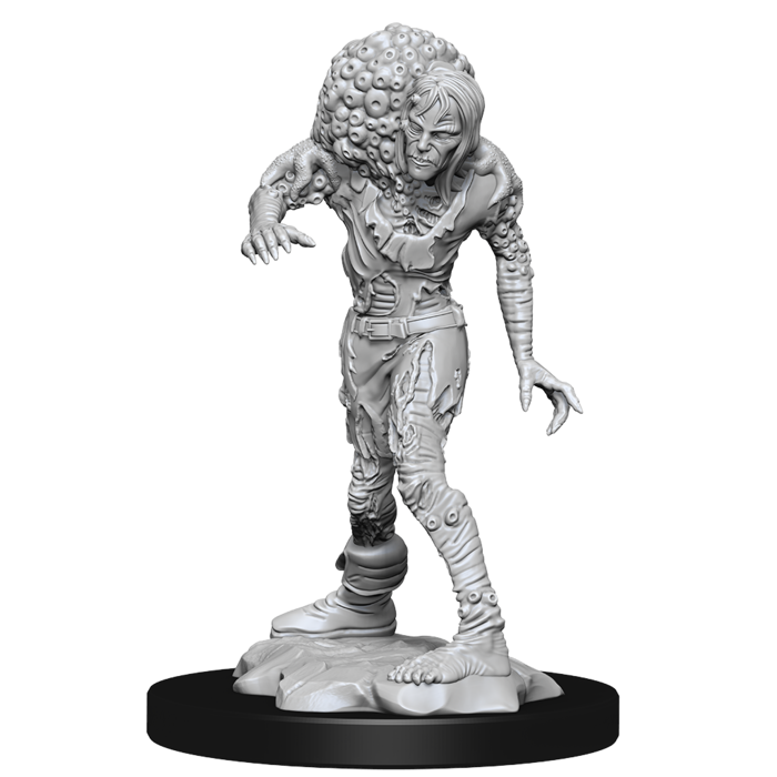 Wizkids/NECA LLC Nolzur's Marvelous Miniatures: Drowned Assassin & Drowned Ascetic