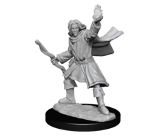 Wizkids/NECA LLC Pathfinder Deep Cuts Miniatures: Elf Sorcerer Male