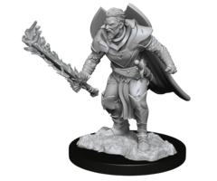 Wizkids/NECA LLC Pathfinder Deep Cuts Miniatures: Human Champion Male