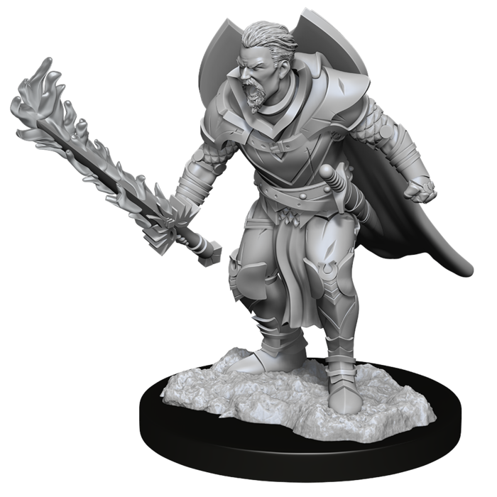 Wizkids/NECA LLC Pathfinder Deep Cuts Miniatures: Human Champion Male