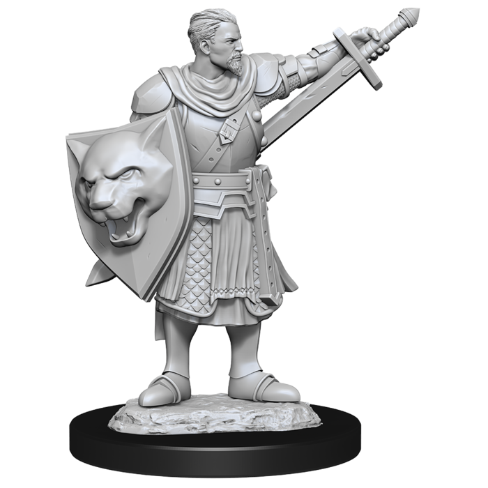 Wizkids/NECA LLC Pathfinder Deep Cuts Miniatures: Human Champion Male