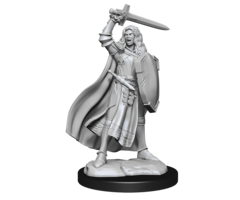 Wizkids/NECA LLC Pathfinder Deep Cuts Miniatures: Human Champion Female