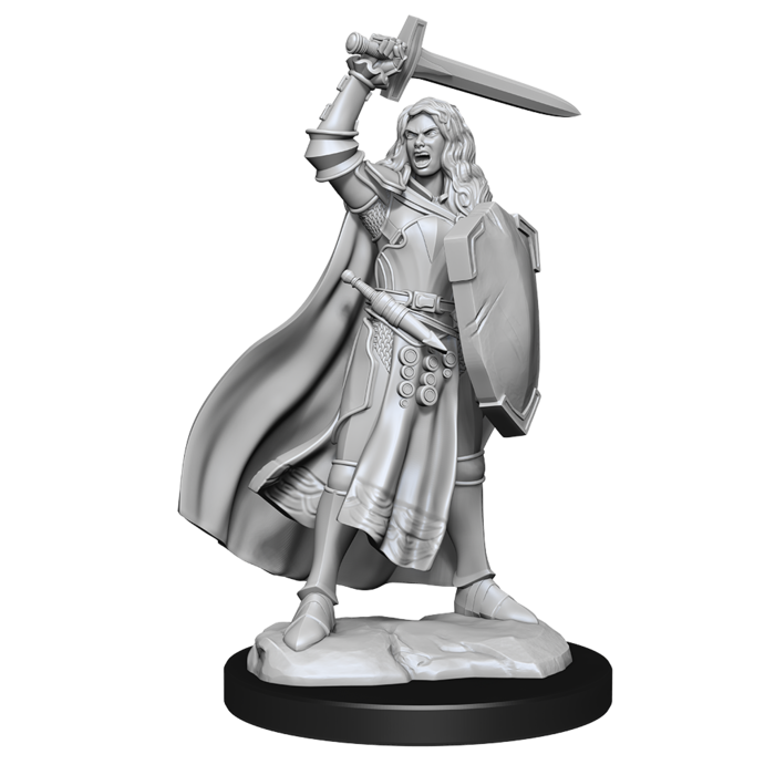 Wizkids/NECA LLC Pathfinder Deep Cuts Miniatures: Human Champion Female