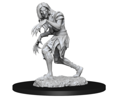 Wizkids/NECA LLC Pathfinder Deep Cuts Miniatures: Annis Hag & Green Hag
