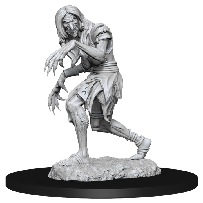 Wizkids/NECA LLC Pathfinder Deep Cuts Miniatures: Annis Hag & Green Hag