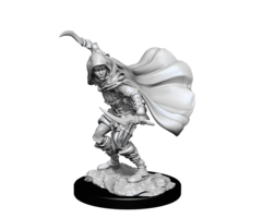 Wizkids/NECA LLC Pathfinder Deep Cuts Miniatures: Human Rogue Female