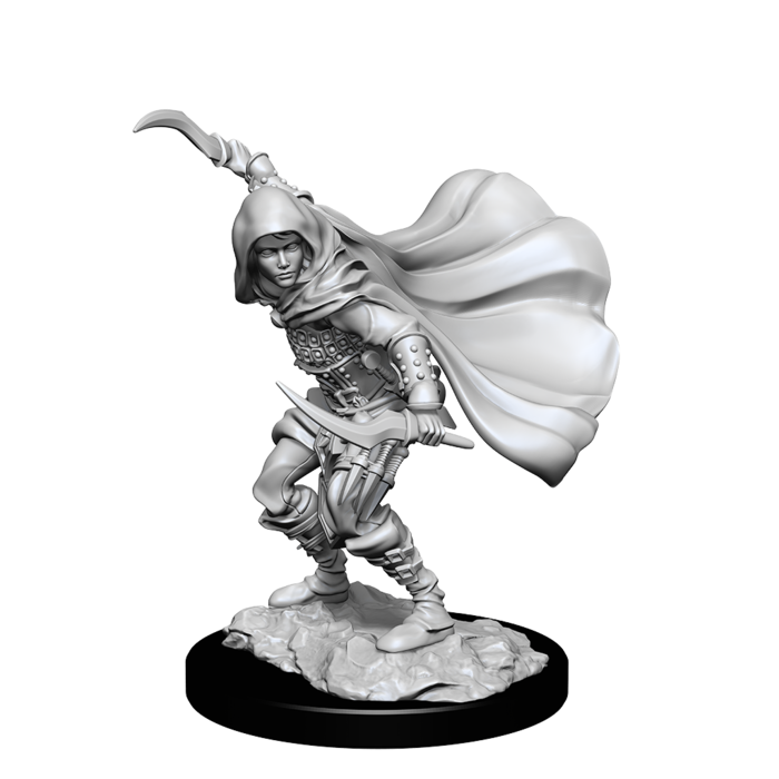 Wizkids/NECA LLC Pathfinder Deep Cuts Miniatures: Human Rogue Female