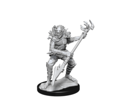 Wizkids/NECA LLC Nolzur's Marvelous Miniatures: Koalinths