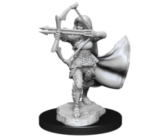 Wizkids/NECA LLC Nolzur's Marvelous Miniatures: Air Genasi