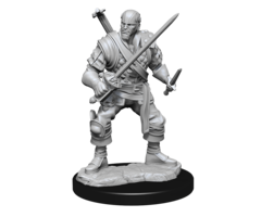 Wizkids/NECA LLC Nolzur's Marvelous Miniatures: Human Bard Male (2021)