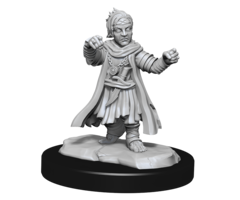 Wizkids/NECA LLC Pathfinder Deep Cuts Miniatures: Halfling Monk Male