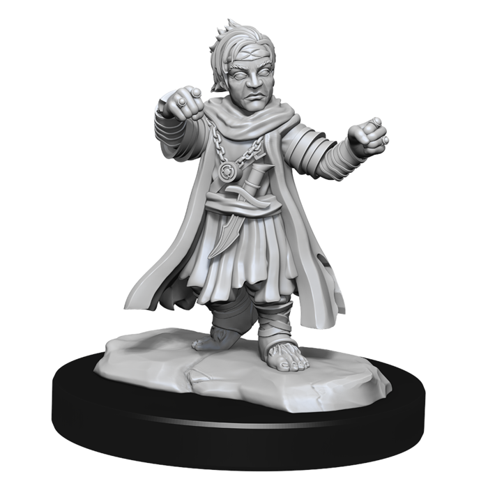 Wizkids/NECA LLC Pathfinder Deep Cuts Miniatures: Halfling Monk Male