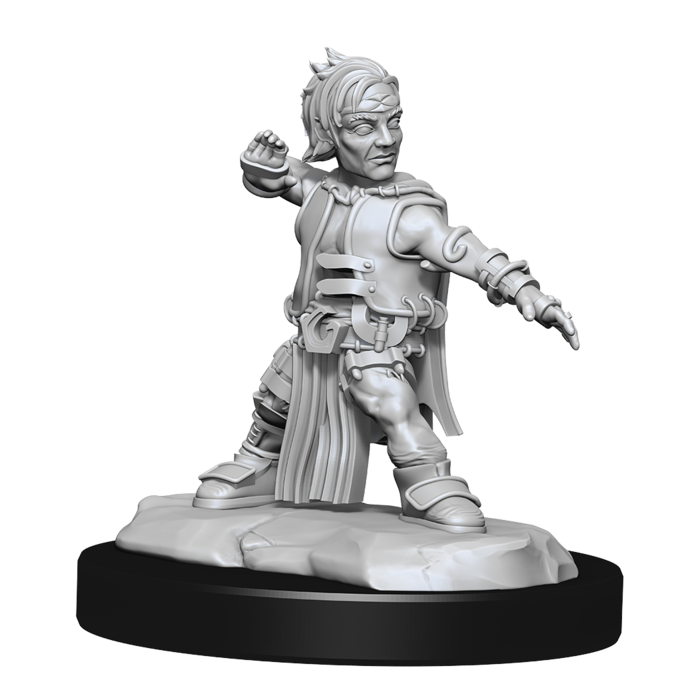Wizkids/NECA LLC Pathfinder Deep Cuts Miniatures: Halfling Monk Male